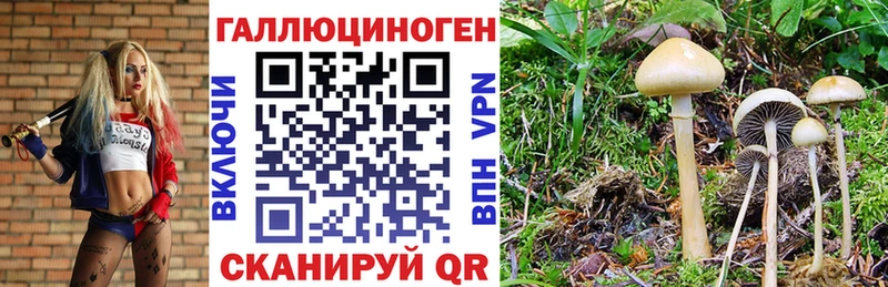 Псилоцибиновые грибы Magic Shrooms Черногорск